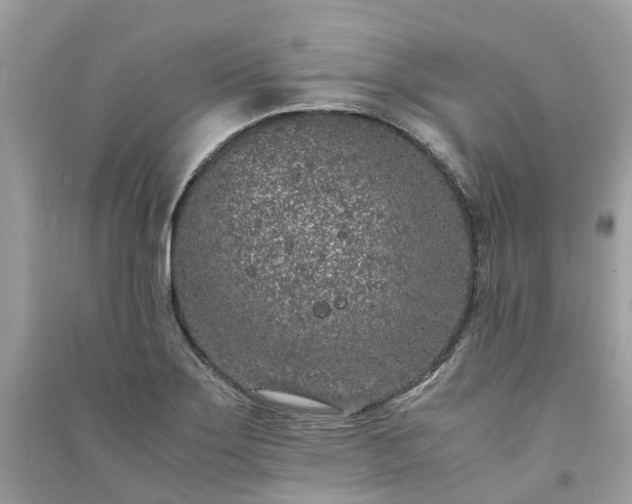 X0000090991275200708091511