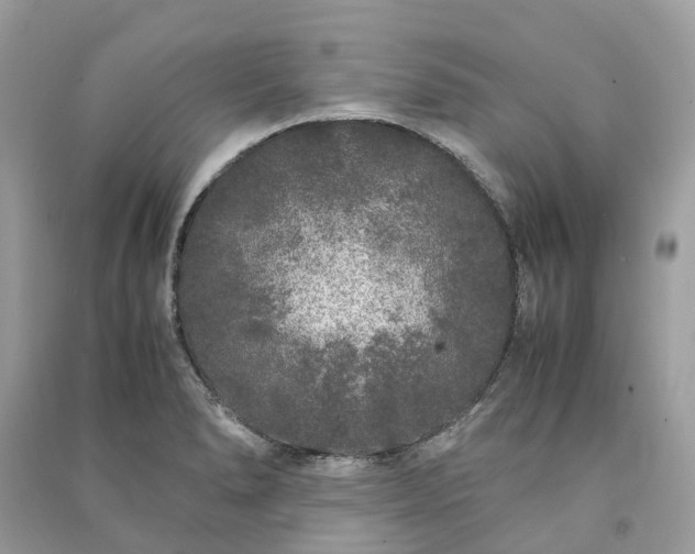 X0000090991278200708091511