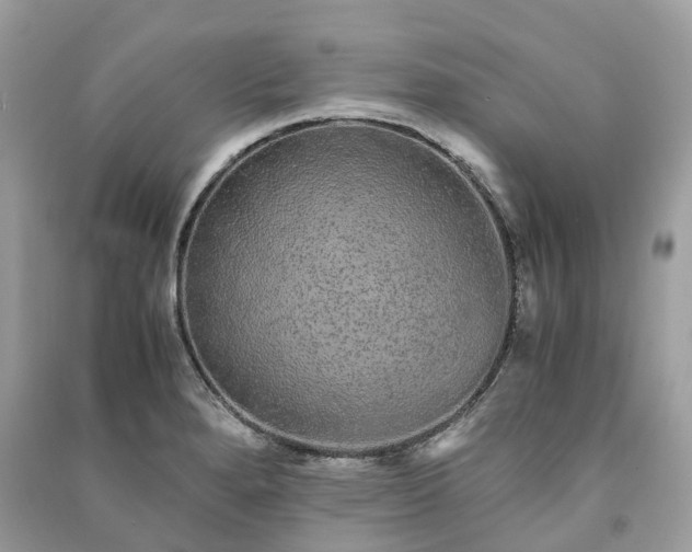 X0000090991280200708091511