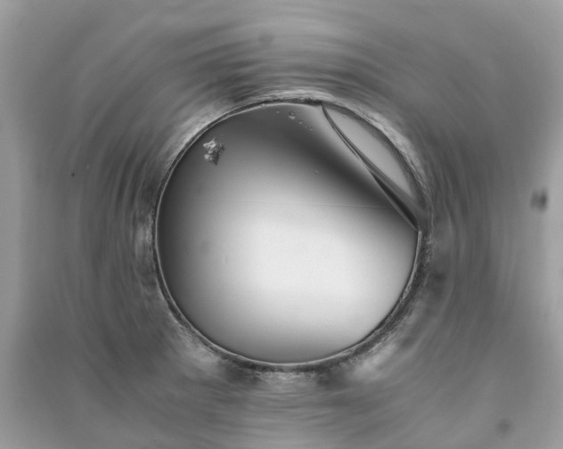 X0000090991281200708091511