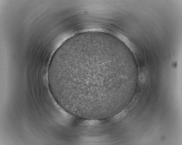 X0000090991282200708091511