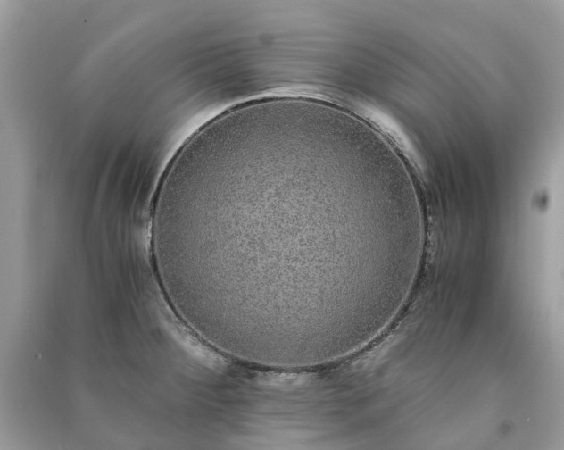 X0000090991284200708091511