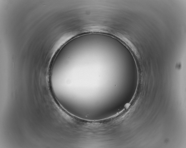 X0000090991285200708091511