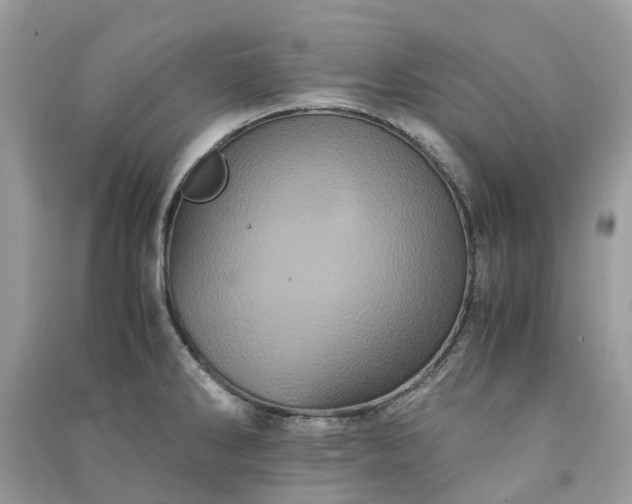 X0000090991286200708091511