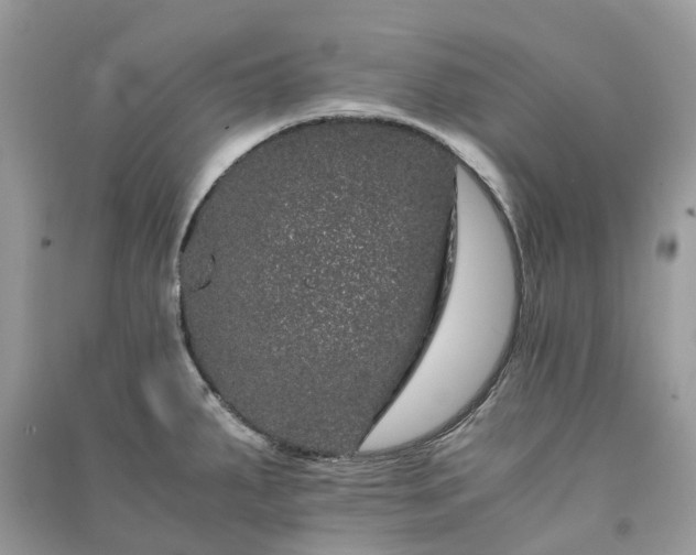 X0000090991287200708091511