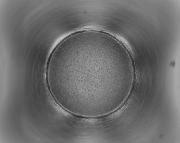 X0000090991288200708091511