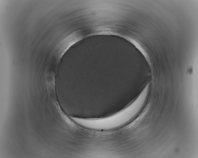 X0000090991289200708091511