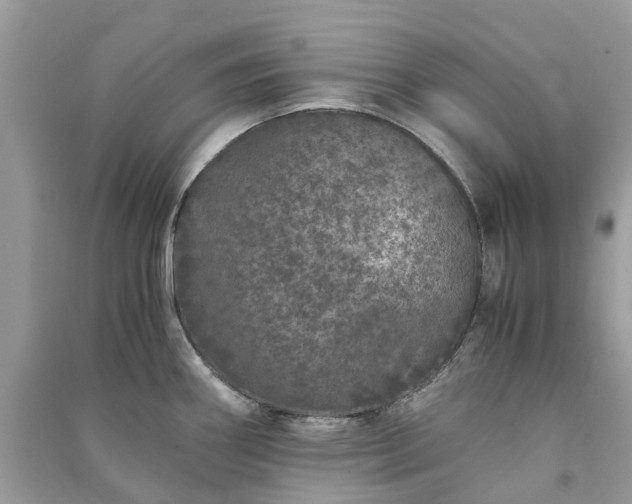 X0000090991290200708091511