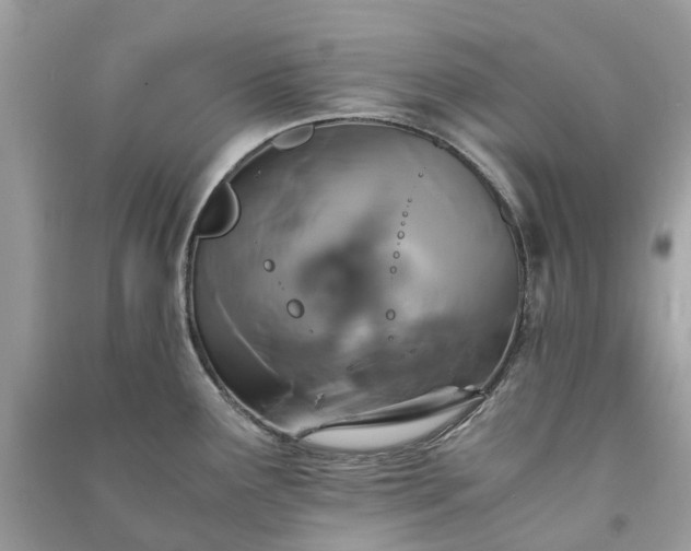 X0000090991291200708091511