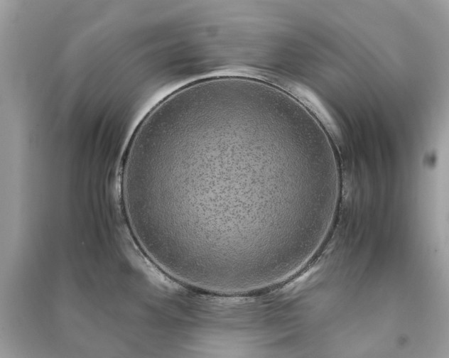 X0000090991292200708091511