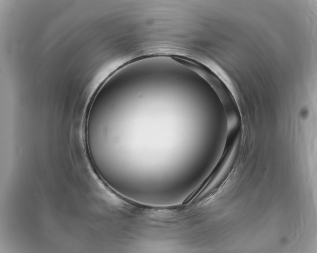 X0000090991293200708091511