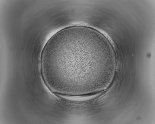 X0000090991295200708091511