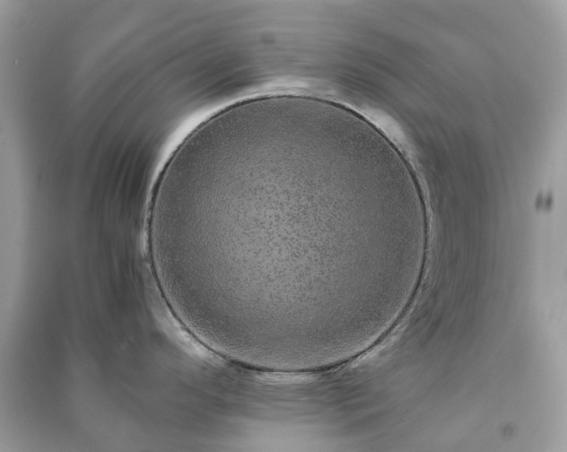 X0000090991296200708091511