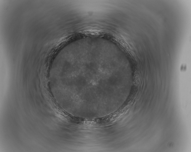 X0000090991297200708091510