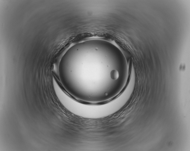 X0000090991298200708091510