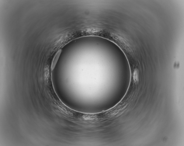 X0000090991299200708091510