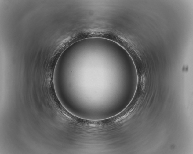 X0000090991300200708091510