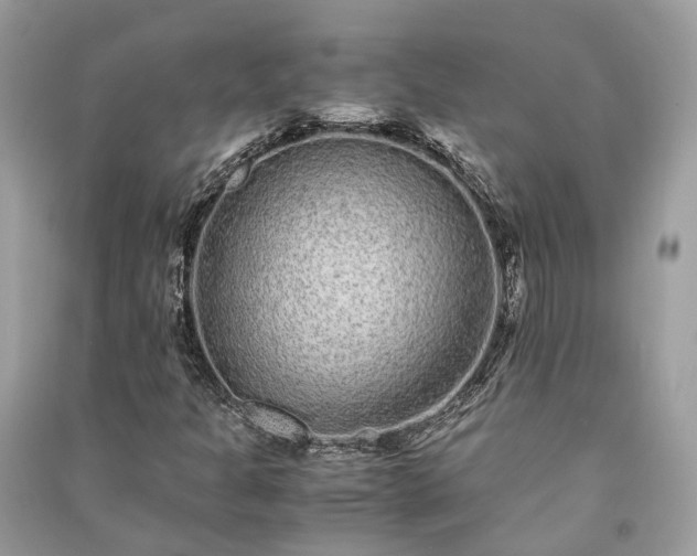 X0000090991301200708091510