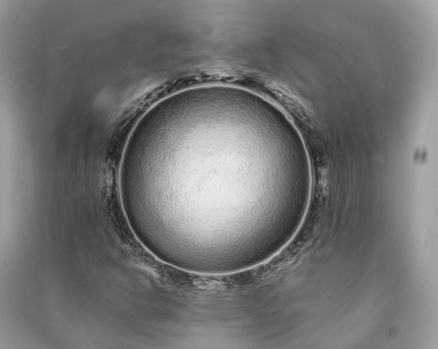 X0000090991302200708091510