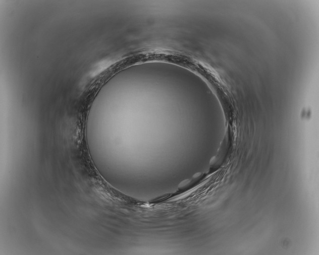 X0000090991303200708091510