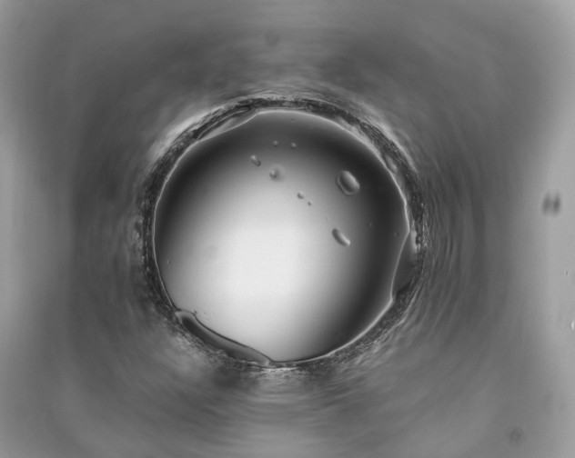 X0000090991304200708091510