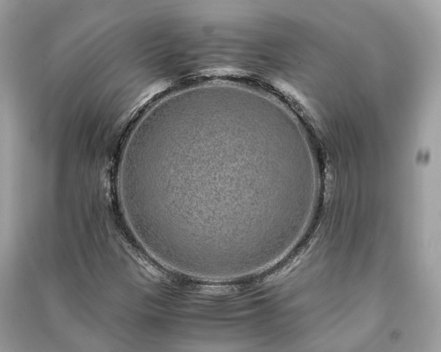 X0000090991305200708091510