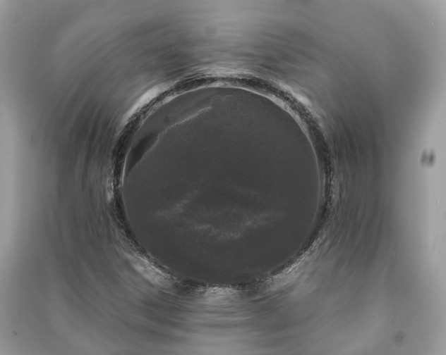 X0000090991306200708091510