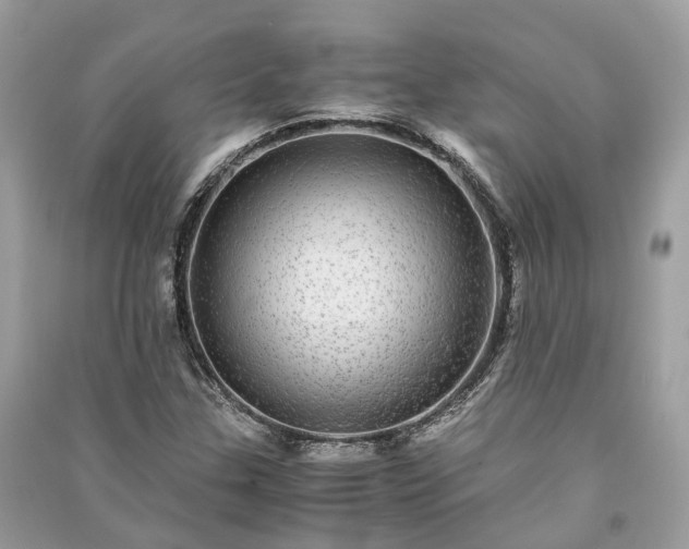 X0000090991307200708091510