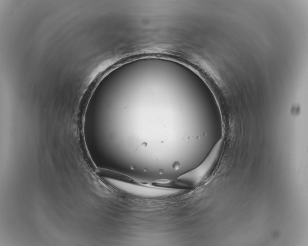 X0000090991308200708091510