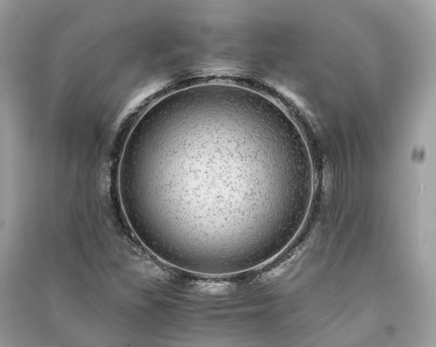 X0000090991309200708091510