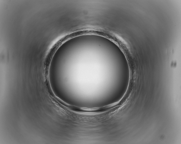 X0000090991310200708091510