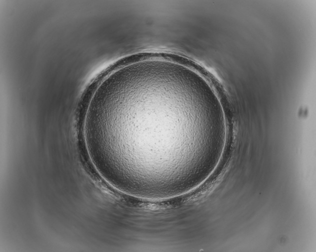 X0000090991311200708091510