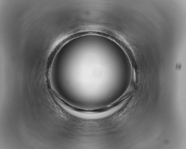 X0000090991312200708091510