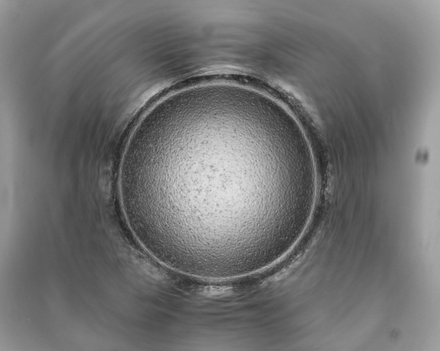 X0000090991313200708091510