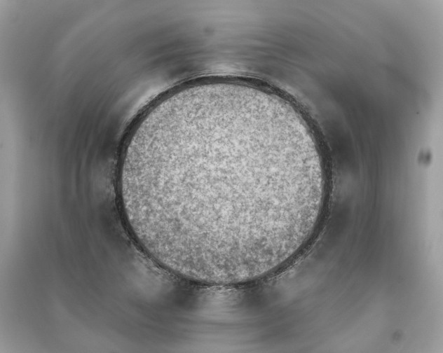 X0000090991314200708091510