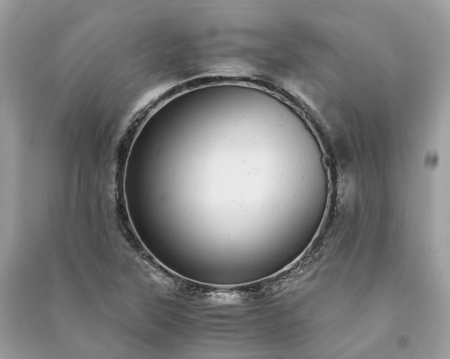 X0000090991315200708091510