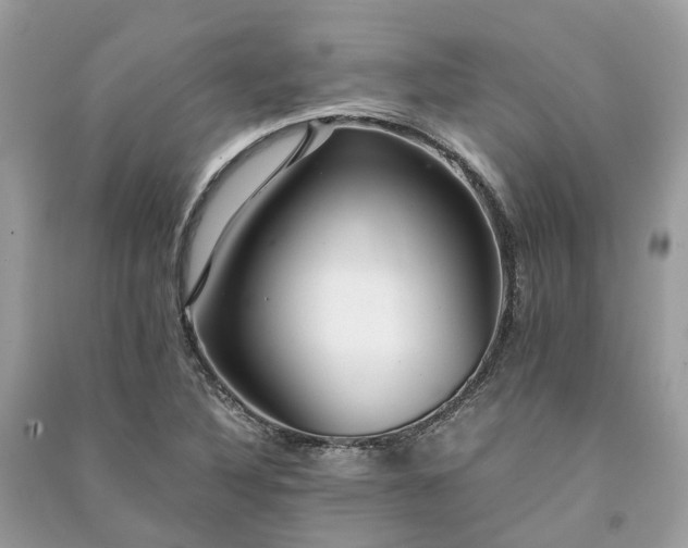 X0000090991316200708091510