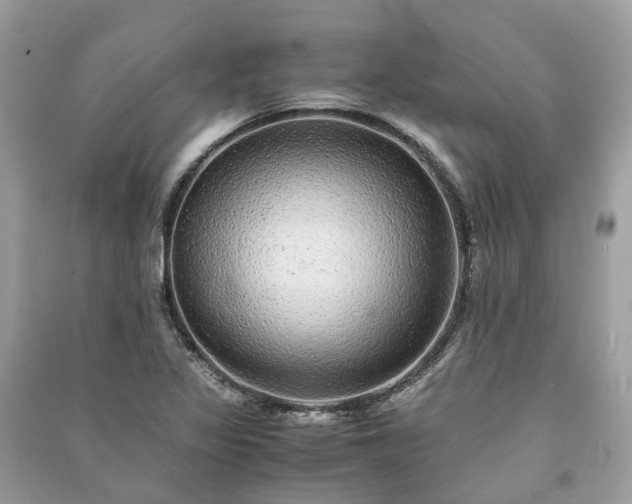 X0000090991317200708091510