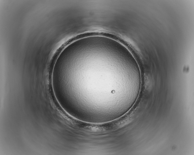 X0000090991318200708091510