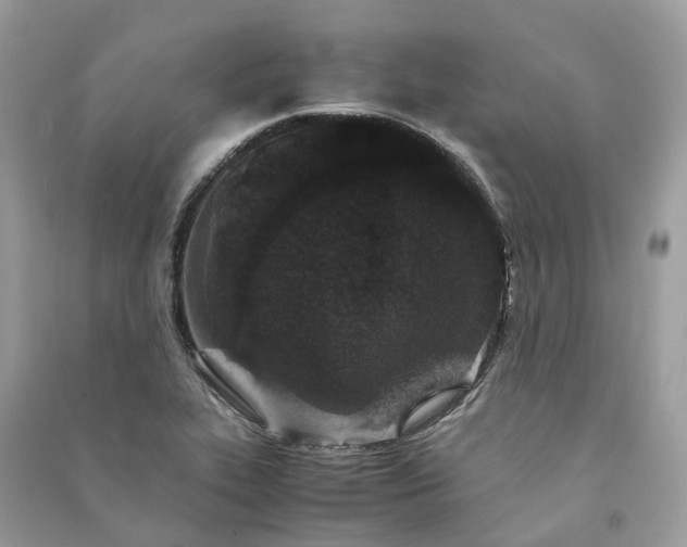 X0000090991319200708091510