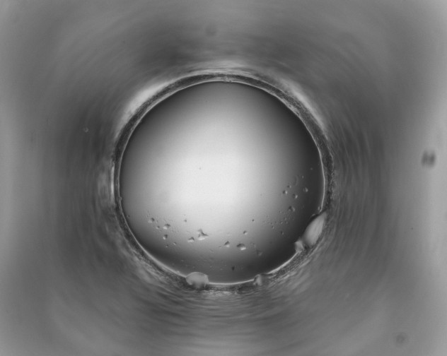 X0000090991320200708091510