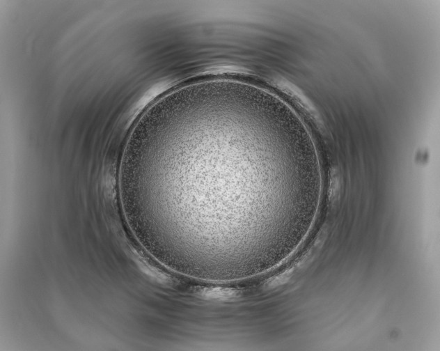 X0000090991321200708091510