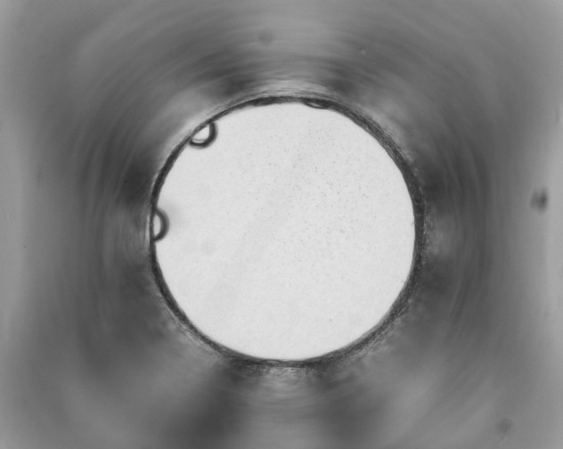 X0000090991322200708091510