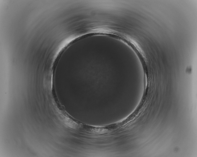 X0000090991323200708091510