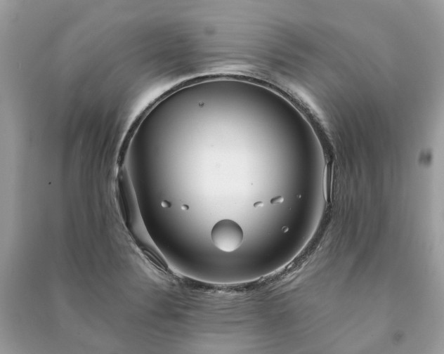 X0000090991324200708091510