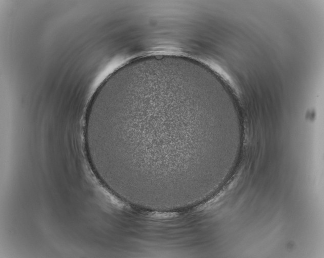 X0000090991325200708091511