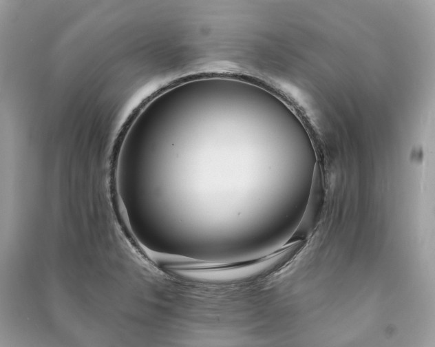 X0000090991326200708091511