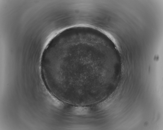 X0000090991327200708091511