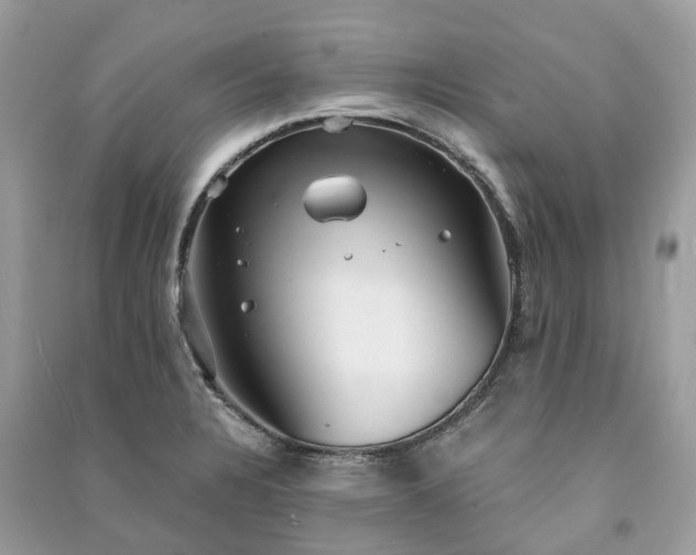 X0000090991328200708091511