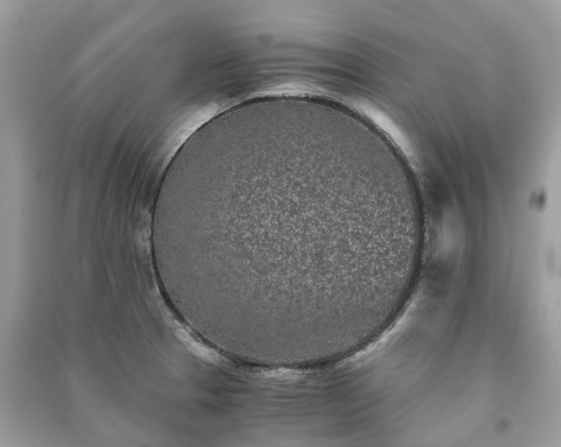 X0000090991329200708091511